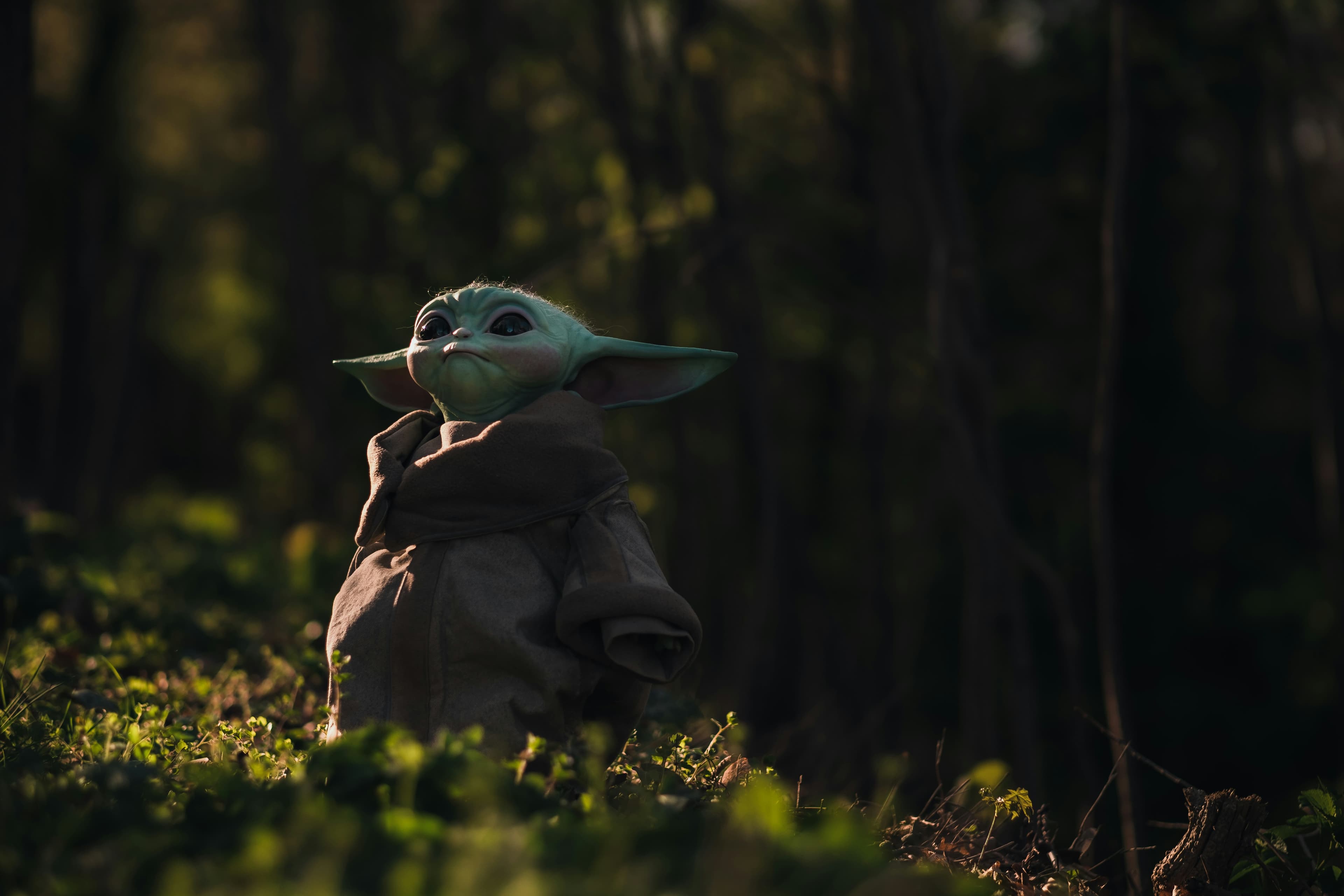 Powering Dynamic Content: A Guide to Headless CMS for Modern Websites